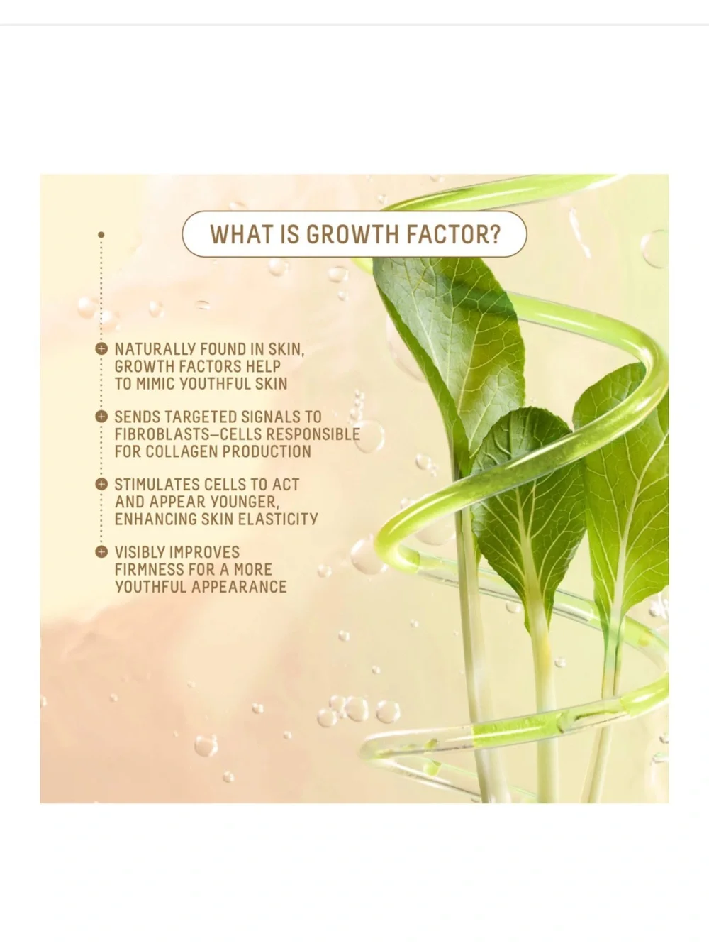 Biossance hydrating firming